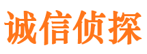 平阴私家调查公司